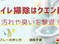 【トイレ掃除はクエン酸】汚れや臭いを撃退！スプレーの作り方や掃除手順を説明