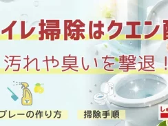 【トイレ掃除はクエン酸】汚れや臭いを撃退！スプレーの作り方や掃除手順を説明